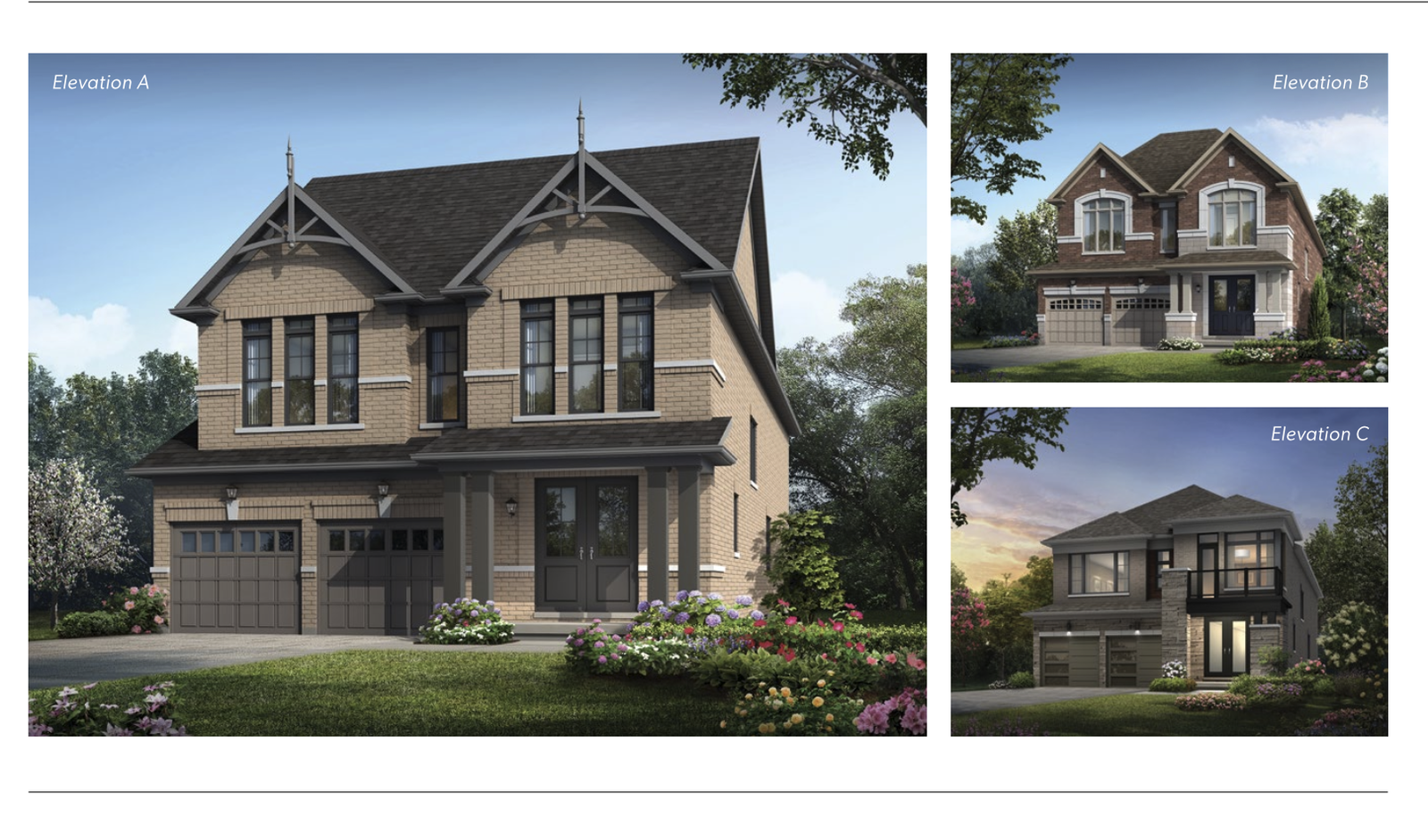 The Oak – 30'